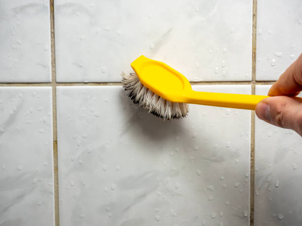 Best Mold Cleaning Services  in Okawvle, IL