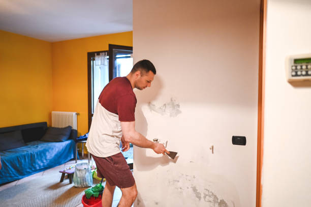 Reliable Okawville, IL Mold Removal Solutions